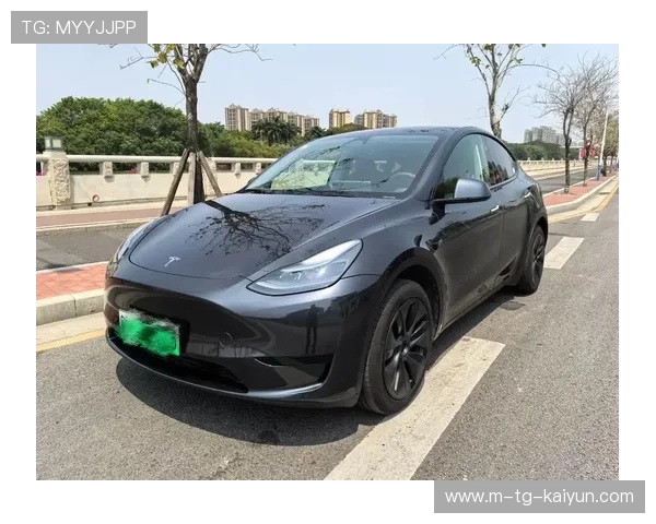 特斯拉Model Y全面解析与性能体验深度评测指南
